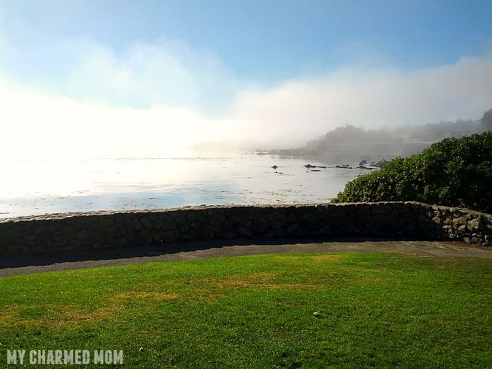 7 Tips for Planning Your Trip to Monterey