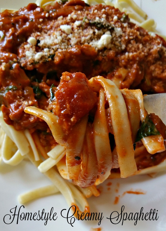 Homestyle Creamy Spaghetti